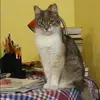 Отзыв от Маргарита Сергеева